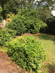 Photo 18- click for photo gallery